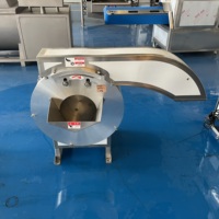 Aardappel- en groentesnijder, frietjes-snijder, gemotoriseerd, roestvrij staal, hoge efficiëntie machine