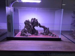 Aquascaping Rotsen Natuursteen Bonsai Drift Hout Voor <span class=keywords><strong>Aquarium</strong></span> <span class=keywords><strong>Aquarium</strong></span> Decoratie Paludarium - Product Image 2