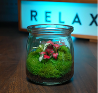 Terrarium en verre moderne et écologique avec couvercle pour plantes et fleurs, transparent, pour jardin et usage domestique