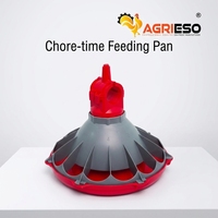 Mangeoire automatique robuste pour poulets, en plastique vierge avec additif UV, pour une distribution uniforme de l'aliment pour l'élevage commercial à grande échelle