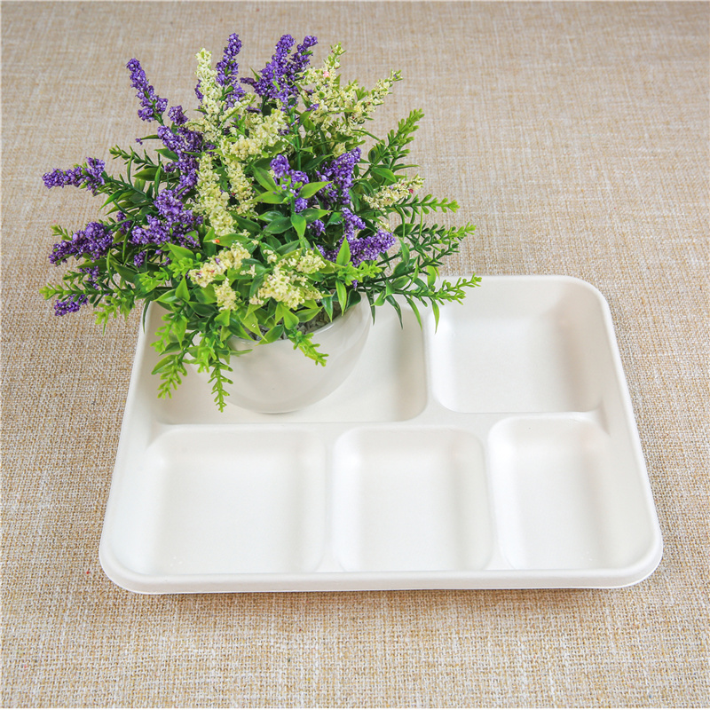 Biodegradable disposable food clamshell/3 5 compartments food box/tray