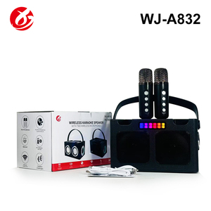 Altavoz Karaoke Bluetooth Portátil Mini OEM con Dos Micrófonos Inalámbricos y Luz LED RGB para Fiestas en Casa y KTV - Product Image 5