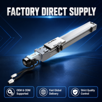 Module de glissière linéaire à vis à billes BSC6, actionneur linéaire électrique avec moteur pas à pas NEMA, rail compact haute rigidité pour machine CNC