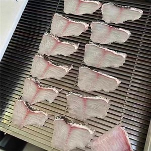 Máquina Cortadora Oblicua Totalmente Automática para Uso en Restaurantes, Cortadora de Salmón, Calamar, Pescado, Hígado de Cerdo, Tripa de Res - Product Image 6