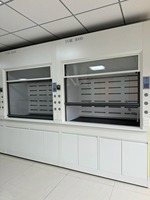 Ensemble complet de mobilier de laboratoire, comprenant une hotte de laboratoire, un banc de travail et un évier, aménagement personnalisable, OEM accepté