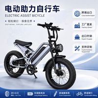 Vélo électrique tout-terrain exclusif transfrontalier 20 pouces à pneus larges 500W 48V avec batterie au lithium, suspension avant et freins à disque, autonomie 60 km
