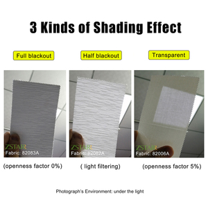 Tende a Rullo Motorizzate Elettriche Smart Alexa Senza Fili ZSTARR OEM ODM Personalizzate per Finestre, Uffici e Hotel - Product Image 4