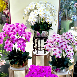 New Year's Eve Wedding Simulation Phalaenopsis <b>Artificial</b> <b>Flowers</b> Soft Rubber Feel for Christmas Wholesale Foreign Trade - Product Image 6