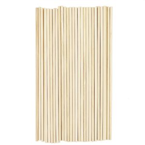 Bâtonnets jetables en bambou recyclé écologiques pour fabricants, vente en gros, 2.5x148, applicateur de rouge à lèvres, gloss, maquillage beauté - Product Image 2