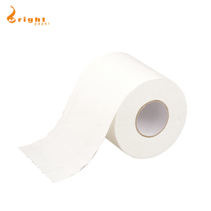 Papier de toilette Ultra transparent, doux, tactile, personnalisé, 10 rouleaux, famille Mega - Product Image 5