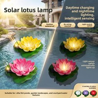 Lampes flottantes solaires en plastique IP65 étanches pour jardins et bassins extérieurs, lumières décoratives LED colorées