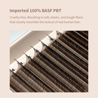 DIYDAY Nouvelle Arrivée Cils Naturels Marron YY 2D 0.07 Faits à la Machine, Volume Complet Ailé, 100% PBT Écologique, Courbure C/D, Personnalisables