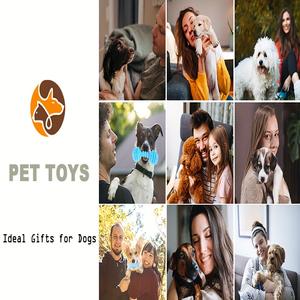 20 confezioni di giocattoli da masticare per cuccioli - Product Image 4