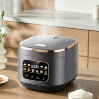 Cuisinière à riz électrique en acier inoxydable 3L, multifonction, cuisson rapide, affichage numérique intelligent, cuve antiadhésive, 500W, faible consommation