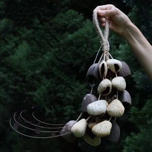 Wholesale Natural Dried Fruit Shell <b>Wind</b> <b>Chime</b> Handcrafted Hanging Ornament For Sound Healing - Product Image 2
