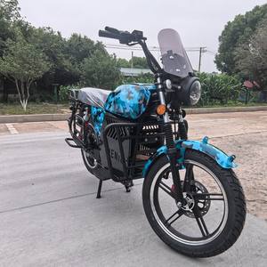 Motos électriques vintage 80 km/h Max 3000W, café, vélo cargo électrique, café, siège confortable, solutions cargo - Product Image 5