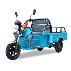 Bicicleta elétrica de carga para motocicleta, triciclo de carga com 3 rodas, mercadorias de qualidade