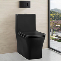 WC en céramique noir mat Cupc, sanitaire en porcelaine, à poser au sol, cuvette de toilette, salle de bain, siphon Tornado, toilette monobloc en céramique