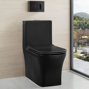 Cupc Matte <strong>Black</strong> Wc Sanitary Ware Porcelain Floor Mounted Inodoro <strong>Toilet</strong> Bowl Bathroom Tornado Siphoni Ceramic One Piece <strong>Toilet</strong> - Product Image 1