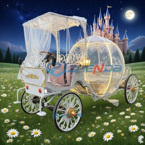 Calèche à chevaux électrique ou à traction humaine pour la vente, idéale pour les mariages, les excursions, Noël, calèche antique à chevaux avec rideau de pluie - Product Image 2