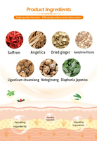 Crème de douleur d'extrait de fines herbes d'onguent de douleur de dos lombaire