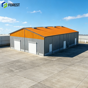 Almacén Logístico Prefabricado de Acero Personalizado, Estructura de Acero de Alta Resistencia, Instalación de Almacenamiento Industrial Modular - Product Image 1