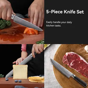 Messer Set forjado 5 uds profesional japonés Damasco acero cuchillos Set cocina Chef utilidad fruta pelado cuchillo con mango G10