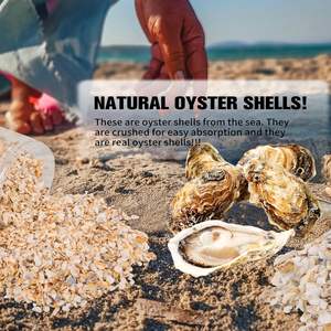 Coquilles d'huîtres concassées de 2 à 10 mm, aliment pour poulet, 1 lb (450 g/16 oz), contient du calcium, petites coquilles concassées naturelles en vrac - Product Image 6