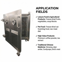 Industriële FD-vriesdroger voor fruit- en groenteverwerking SUS304 roestvrij staal QS-FD-20 laagconfiguratiemodel 30000kg
