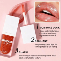 Marque privée Personnalisé Multi-Couleurs Vegan Naturel Brillant À Lèvres Plumper Gloss Base Paillettes Unique Noir Brillant À Lèvres