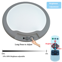 Nouvelle arrivée, plafonnier LED intelligent magnétique sans fil, rechargeable, portable, corps en ABS, détecteur de mouvement, variateur d'intensité, utilisation intérieure et extérieure