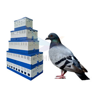 Güvercin uçan katlanır kafes güvercin eğitim yayın taşınabilir kafes <span class=keywords><strong>Homing</strong></span> güvercin rekabet kafes - Product Image 3
