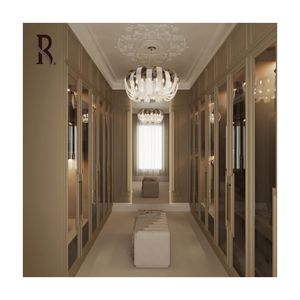 Armadio da camera da letto americano personalizzato di alta classe Rising Rady installazione in legno massiccio vetro compensato moderno indipendente - Product Image 4