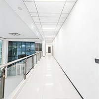 Plaques de plafond en fibres minérales acoustiques anti-moisissures écologiques 2x2 RH99 résistantes à l'humidité pour restaurant en bord de mer