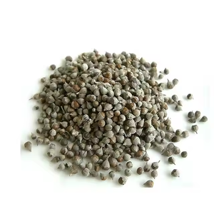 도매 천연 순결한 나무 베리 추출물 5:1 Chasteberry 분말 추출물 Vitex Agnus-castus 추출물 - Product Image 4