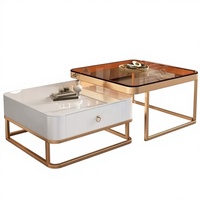 Table Basse Carrée de Luxe Léger au Design Italien, avec Cadre Métallique, pour Salon, Maison Moderne, Appartement Minimaliste, Tendance Internet