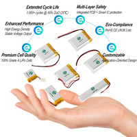 Enerforce OEM 3.7V Pouch Solid State Battery 603040 750mAh Rechargeable CE Certifié 2000 Cycles pour Smart Door Lock
