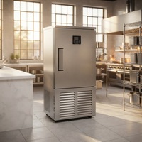 Machine de congélation rapide commerciale RTK en acier inoxydable, refroidisseur à air pour cuisine de restaurant, stockage de fruits de mer