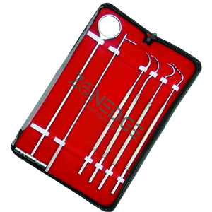 Kit de Limpieza Dental Manual, Juego de Instrumentos de Limpieza Dental Veterinaria, Escaladores de Acero Inoxidable, Espejo, Explorador, CALIDAD A+++ - Product Image 4