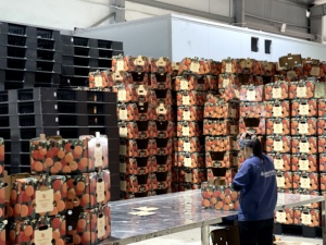 Litchi vietnamien biologique frais avec des pratiques de production sûres Emballage d'exportation de qualité supérieure de 10kg - Product Image 2