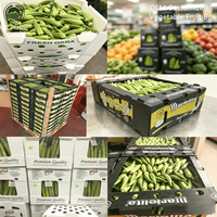 Caisse en carton ondulé PP pour légumes frais (okra, asperges) – Caisse pliable d'exportation – Fournisseur OEM personnalisé – Boîte en panneau alvéolaire PP