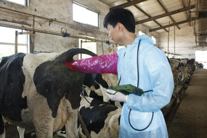 YSB-R10V <span class=keywords><strong>Scanner</strong></span> à ultrasons pour animaux de haute qualité Ysenmed Vet <span class=keywords><strong>Medical</strong></span> Device - Product Image 2