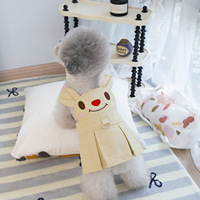 Ventes flash : Robes fines et anti-UV avec imprimé ours, accessoires pour animaux de compagnie, vêtements pour chats et chiens, luxe pour la collection printemps-été