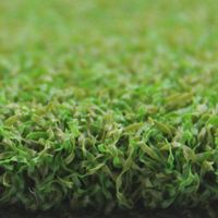 AVG Beste Qualität Günstiger Künstlicher Naturgras-Samen-Teppich für Garten Kunstrasen-Matte