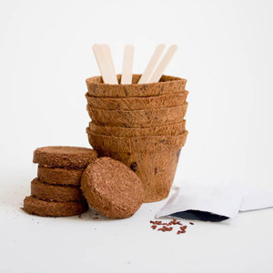Mini Kit <span class=keywords><strong>de</strong></span> jardín <span class=keywords><strong>de</strong></span> hierbas moderno, maceta <span class=keywords><strong>de</strong></span> <span class=keywords><strong>brotes</strong></span> colgantes para centro comercial, Oficina <span class=keywords><strong>de</strong></span> escritorio y maceta <span class=keywords><strong>de</strong></span> vivero al por mayor - Product Image 3