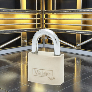 Cerradura de <span class=keywords><strong>Puerta</strong></span> de Hierro niquelado de alta calidad tipo arco 30 40 50 y 60MM <span class=keywords><strong>candado</strong></span> de llave de paleta para exteriores centrado <span class=keywords><strong>en</strong></span> la seguridad - Product Image 2