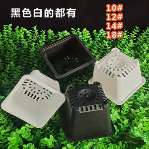 Pots à fleurs pour plantes succulentes, pots de pépinière carrés de 10 cm avec trous de drainage pour la propagation des semis et l'utilisation sur le bureau - Product Image 4