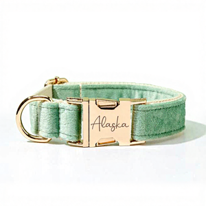 Ensemble de laisse et collier pour chien en cuir moderne fait à la main, vert sauge, personnalisé, nœud papillon fantaisie pour chiot, cadeau de mariage - Product Image 1