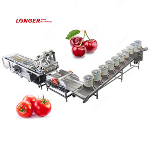 Máquina de Limpieza de Fruta del Dragón, Línea de Producción de Lavado y Secado de Hojas de Mostaza y Chile - Product Image 2