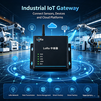Repetidor de Señal LoRa Configurable BLE, 22dBm, Potencia Ajustable, Unidad de Cascada Multinivel, IP65 Impermeable, 5-15km de Alcance Visible